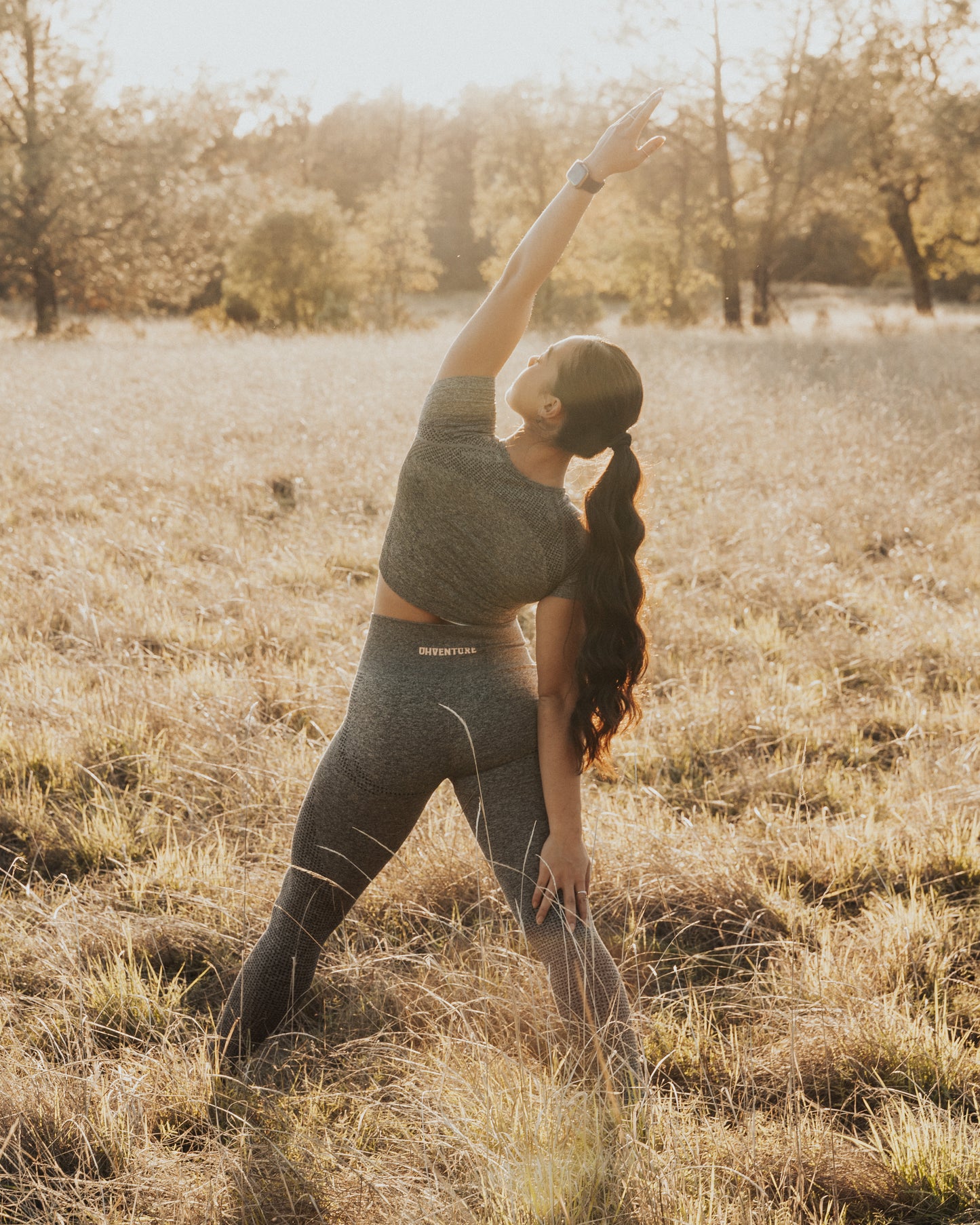 Arctic Seamless Leggings